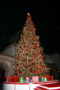Giant 2006 Christmas trees